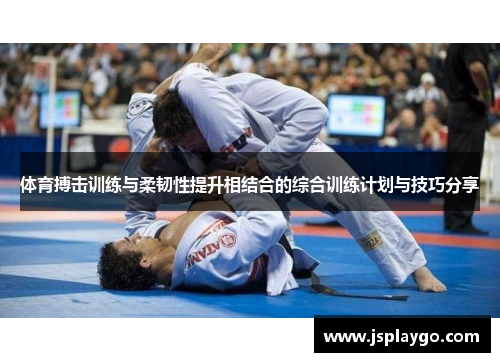 体育搏击训练与柔韧性提升相结合的综合训练计划与技巧分享